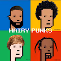 HAIRY PUNKS