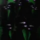 UnknownCo