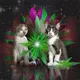 The T'Weed Sisters - old