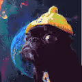 Crypto Puggo