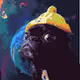 Crypto Puggo