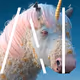 Unicorns | Iunicornx | Unicornios