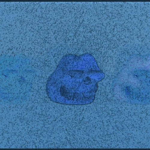 The Great Frog Study