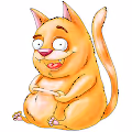 Funny animals by sonik