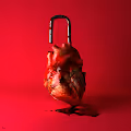 My Heart Explained.