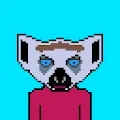 Mean Lemurs