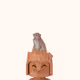 The Monkey Lama
