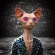 Warrior Meta Cat