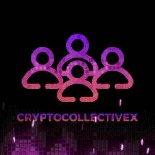 Crypto Collective X
