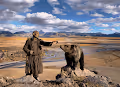 Spirit Animals by Hamid Sardar