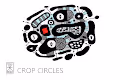 Crop circles 2017 - 11 circles