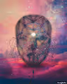 The Realm of Consciousness