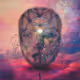 The Realm of Consciousness
