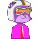 cat - cat - old