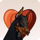 PowerDoge Collection - old