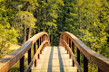 Take me to the trail
