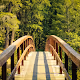 Take me to the trail