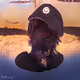 FELIX - OpenSea Collection