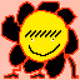 Sunflower me