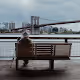 Benches Collection