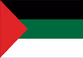 Palestine Support Collection - old