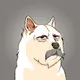 The Billionaire Doge Club