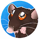 Lil Ratties