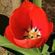 Revealing the beauty of plants