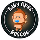 Baby Apes Rescue (BAR)