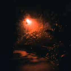 In the dark we search