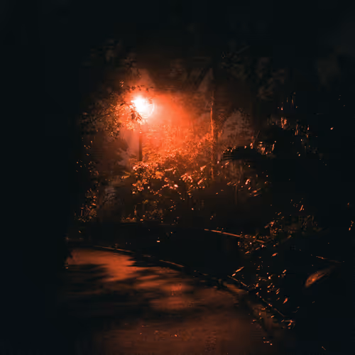 In the dark we search