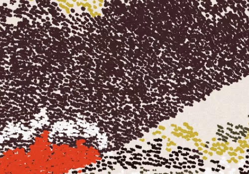 64 Celebes floor 0.33