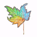 99 Colorful Leaves