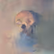 Painted Bitbones