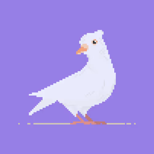 Pixeon