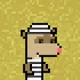 CRYPTO FERRETS