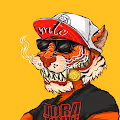 Manzo tora - old