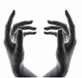 Diamond Hands To The Moon