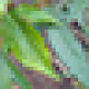 24px Plants