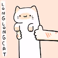 Long Long Cat