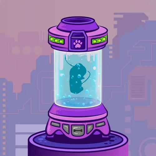 Approving Corgi Pups