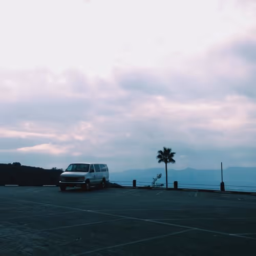 josh pan - blue skin