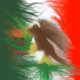 Mexican Pride