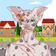 SphynxClup