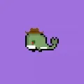 Weird Whales