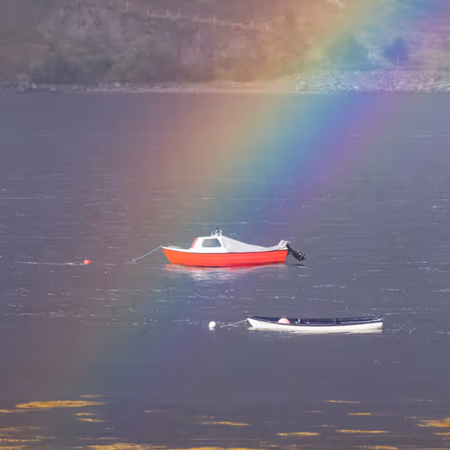 Steve Walasavage Companion Works