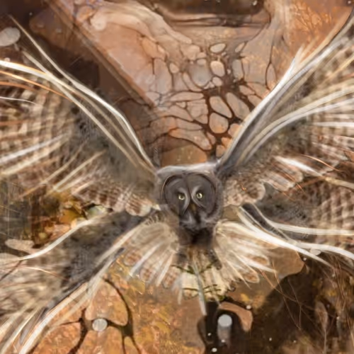 Pourtraits of a Journey