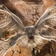 Pourtraits of a Journey