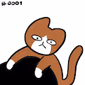sillycat