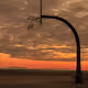 Basketball Diaries